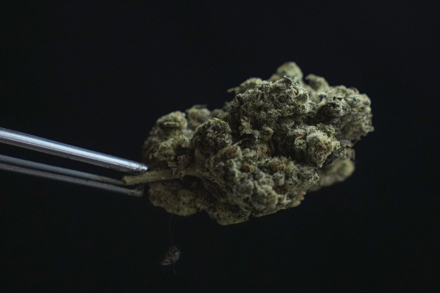 Founder of Highland cafe Rattapon Sanrak prepares marijuana flower buds for customers at his shop in Bangkok, Thailand, Monday, February 12, 2024. Thailand brought a highly visible…