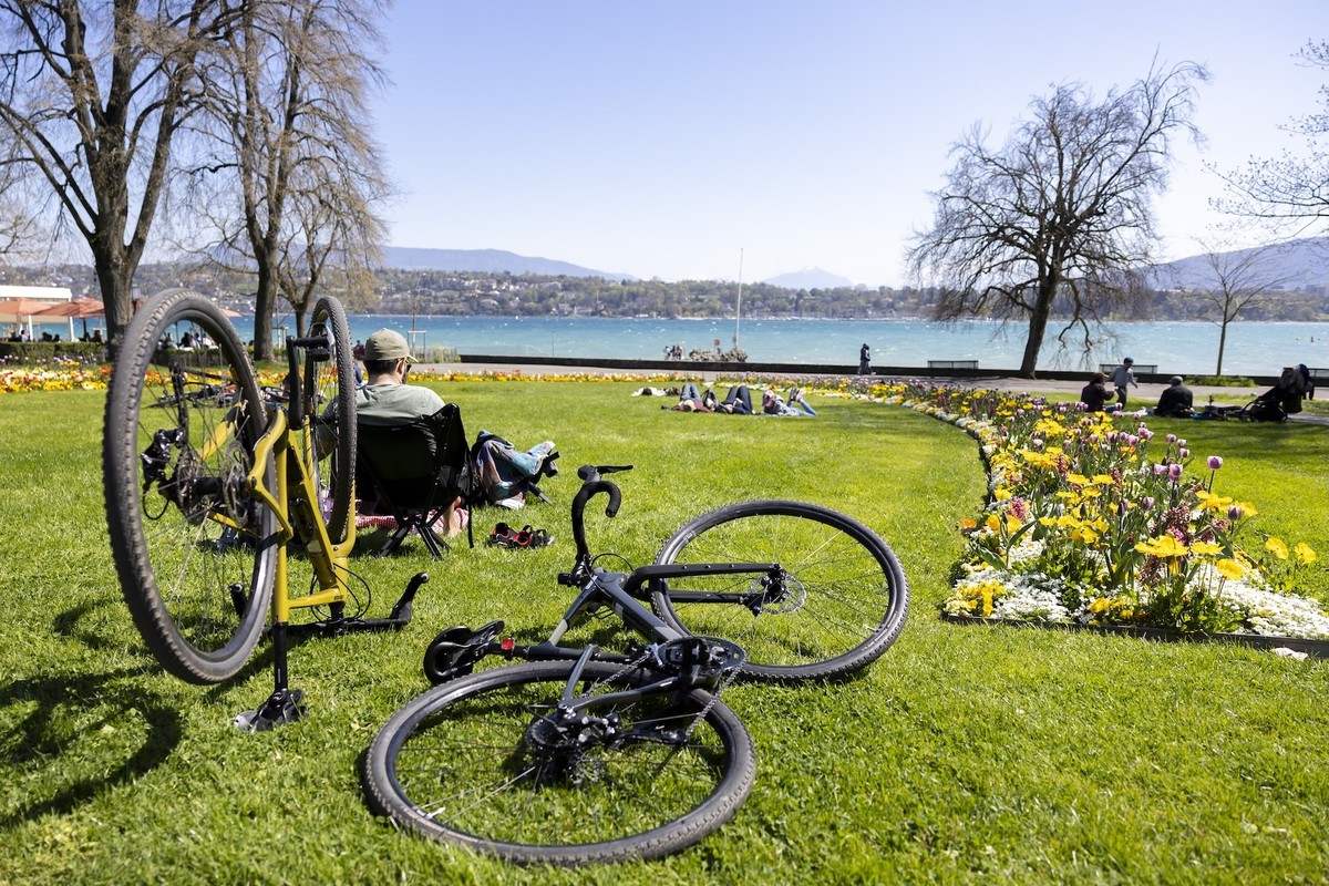 People lie on the grass near the flower beds of poppies and tulips, enjoying the sunshine at Parc Moonier on the shore of Lake Geneva, in Geneva, Switzerland, Sunday, April 6, 2025. (KEYSTONE/Salvator ...
