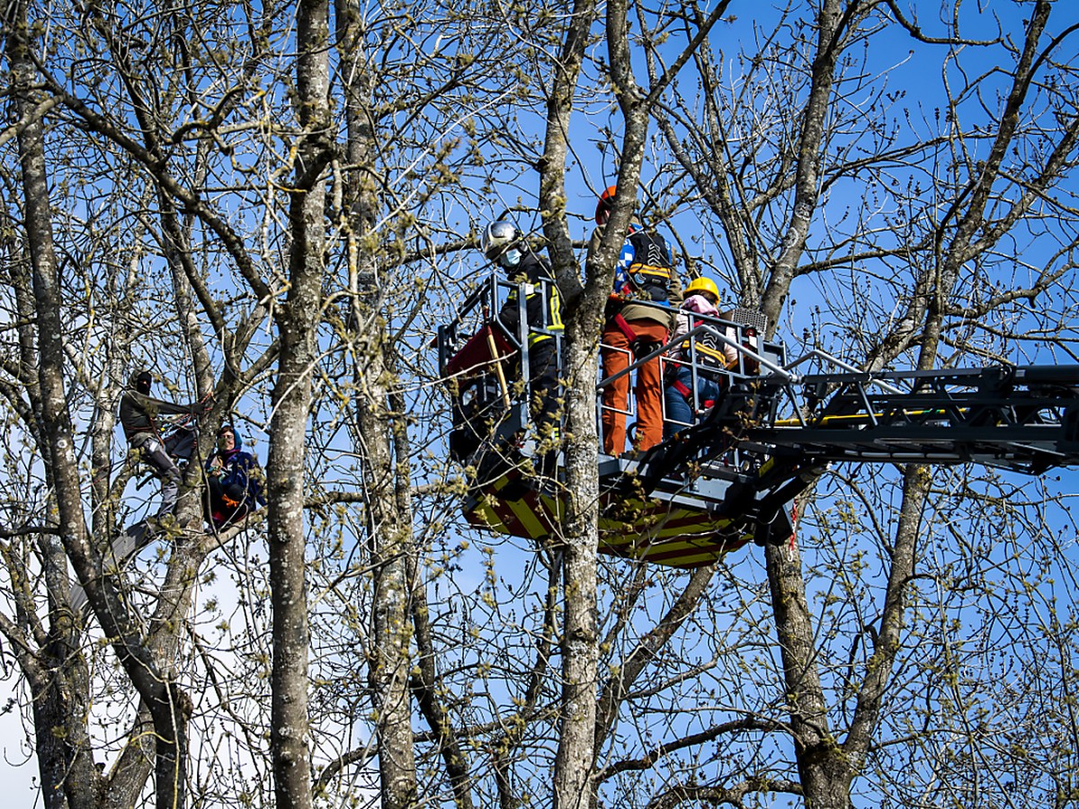 Les deux zadistes ont quitt� les lieux pour un contr�le � l'h�pital, l'un apr�s une chute de plusieurs m�tres, retenu par ses cordes de s�curit�.