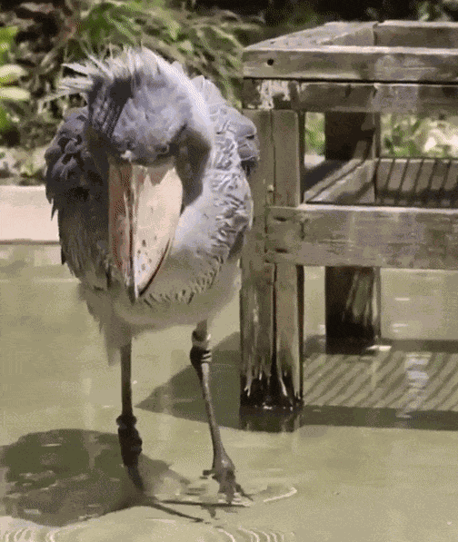 Animiertes GIF