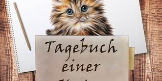 «Liebes Tagebuch, heute war der schlimmste Tag meines Lebens!»