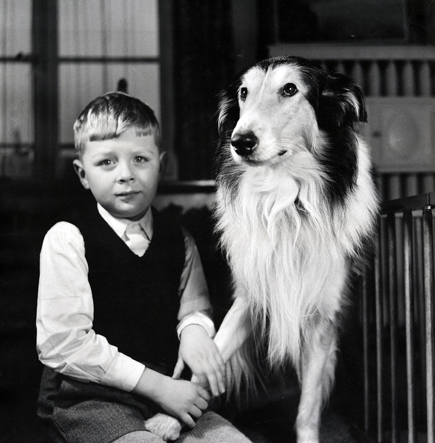 Innig war das Verhältnis von Mensch und Hund nicht erst in unserer Zeit. Ein Junge posiert mit einem Collie, um 1950.