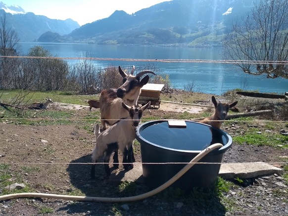 8 Wanderungen, die sich im Frühling besonders lohnen\nIn Quinten kann man auch allerlei lustige Gestalten treffen... 🙂