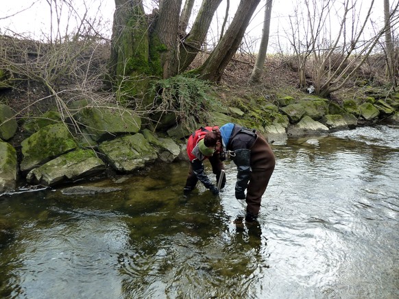 Probe Salmsacher Aach (Bild: EAWAG)