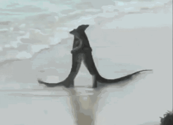 Animiertes GIF