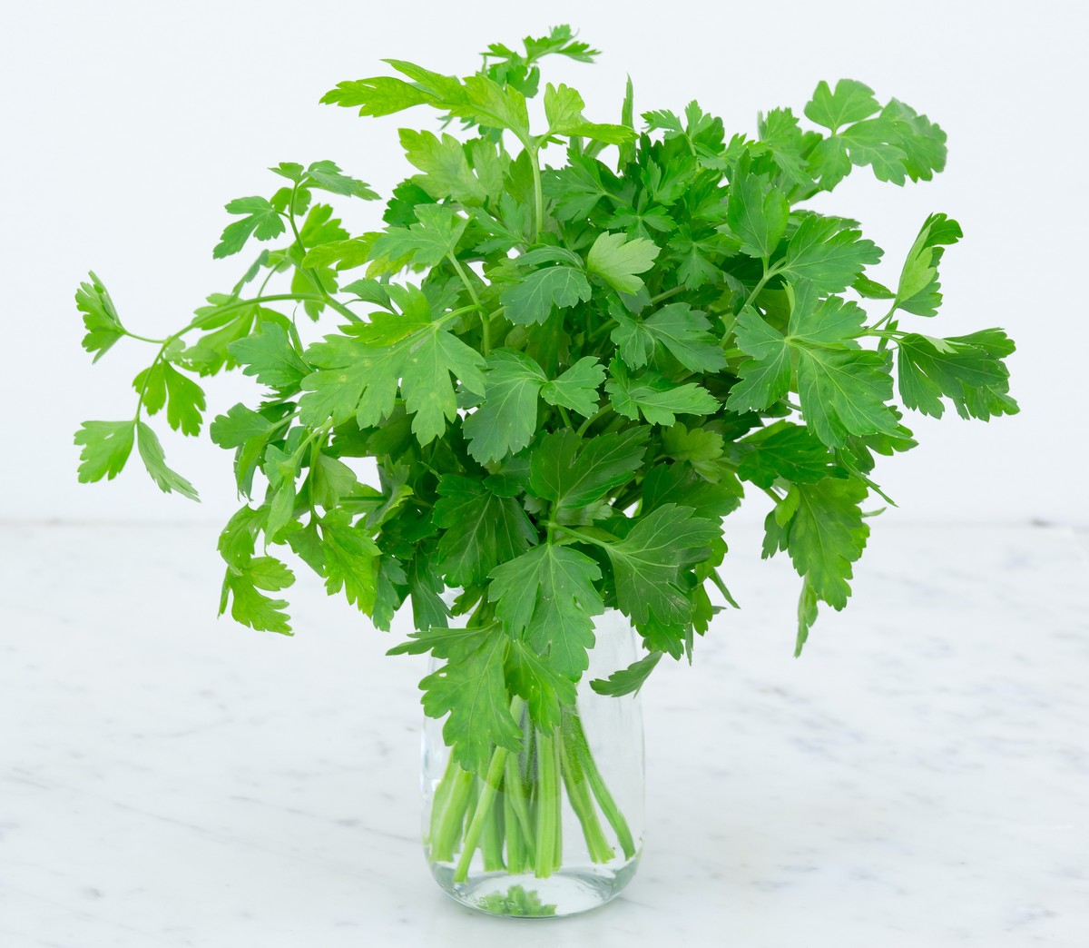 Prezzemolo peterli petersilie kräuter gewürze essen food kochen