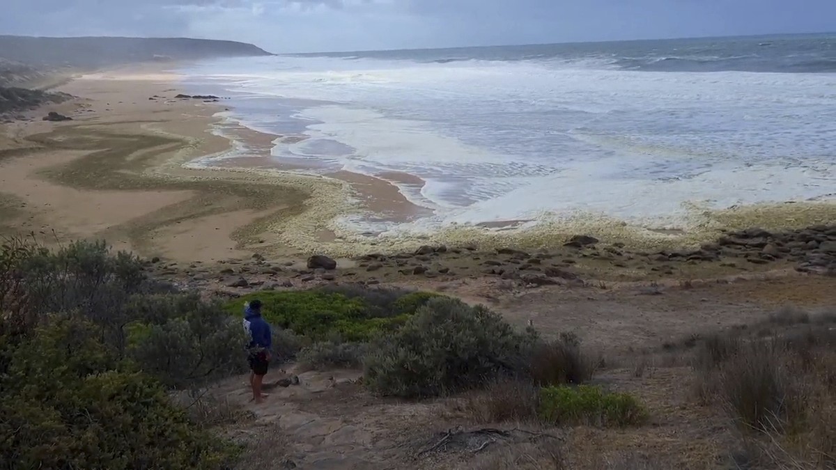 This image made from video provided by Australian Broadcasting Corp., shows foam washing up on beach Monday, March 17, 2025, in Waitpinga, near Adelaide. (Australian Broadcasting Corp via AP)
Australi ...