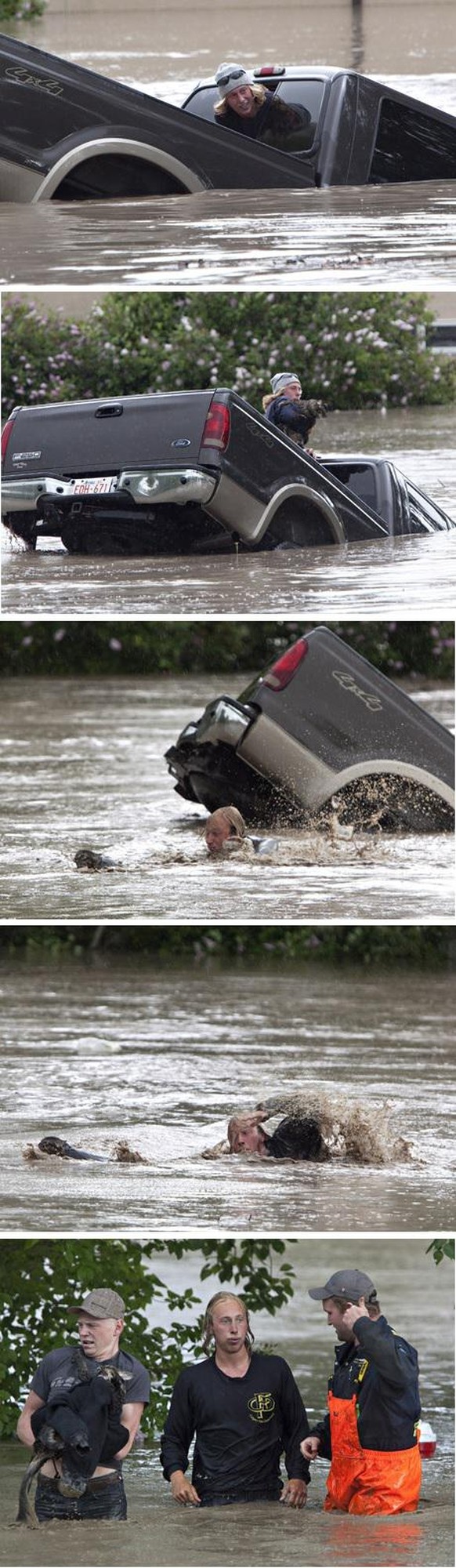 Tierrettung Hochwasser Flut Regenfälle