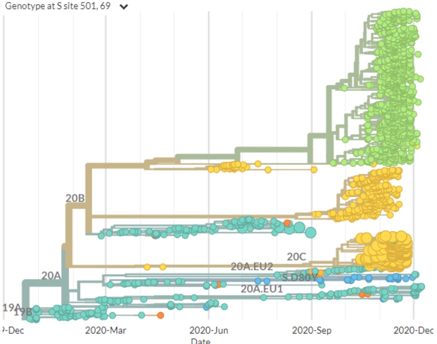 Grün zeigt die rasche Ausbreitung der UK-Variante, die grossen gelben Kreise die Ausbreitung der Variante aus Südafrika.