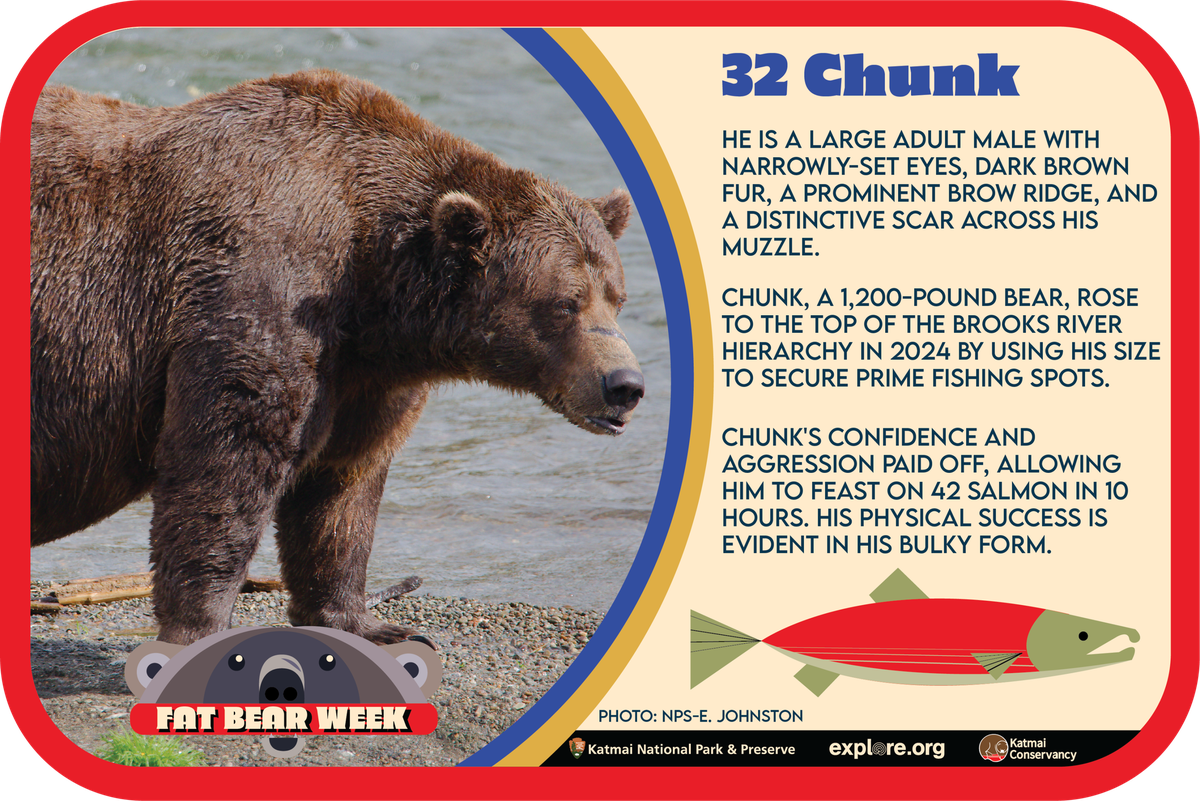 Bär 32 Chunk