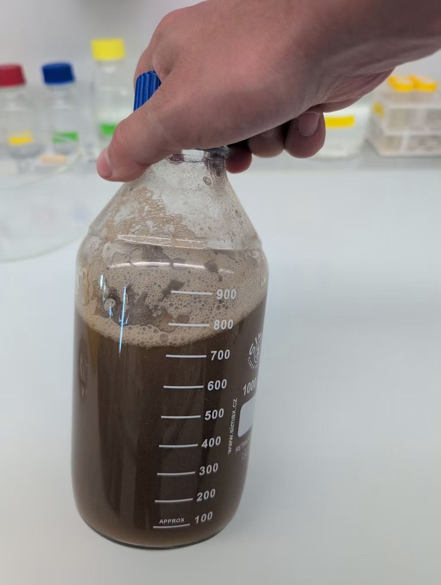https://www.wbf.admin.ch/de/newnsb/y592XbrrWY55
«Im Klärschlamm aus 51 Schweizer Kläranlagen analysierten die Forschenden die enthaltenen Mikroplastikartikel mit Hilfe von hochmodernen Infrarotmikrosk ...