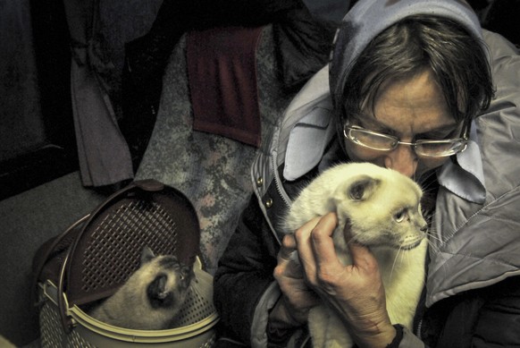 epa09827541 An old woman evacuated from Mariupol holds a cat on a bus on the Ukraine-Russia border at the border crossing point Veselo-Voznesenka in the Rostov region, Russia, 15 March 2022. Civilians ...