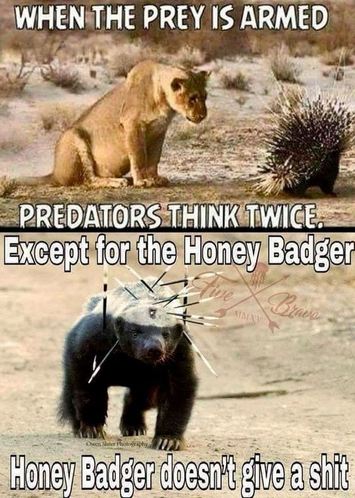 Lustige Tiere. Aka "fönni tiere".

Hier kann ich schreiben, was ich will. Wieso? Weil es niemanden schert, was hier steht.

Blabli. Bloblu. Düdelidü.. Hallo.

E= mc2

Die Quelle aller narrat ...