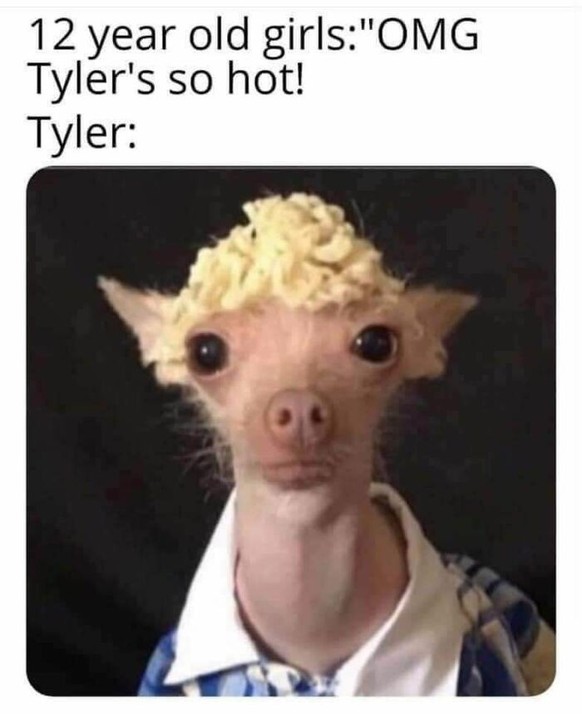 Lustige Memes für Picdump