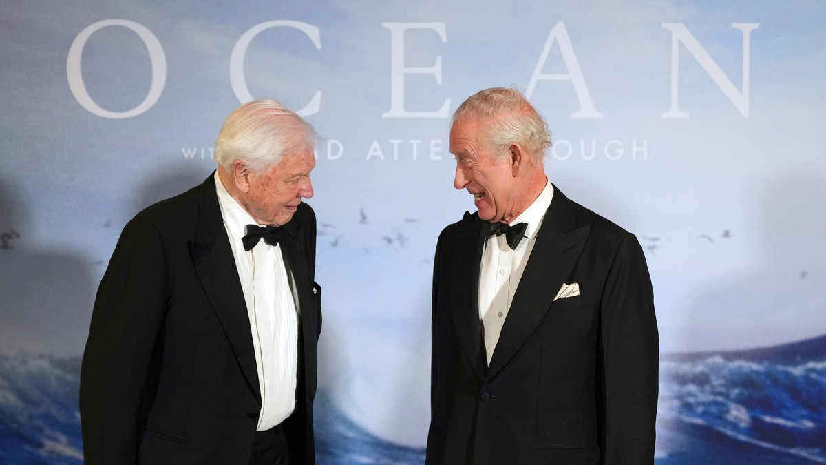 König Charles gratuliert Attenborough zum 100. Geburtstag mit Tiervideo