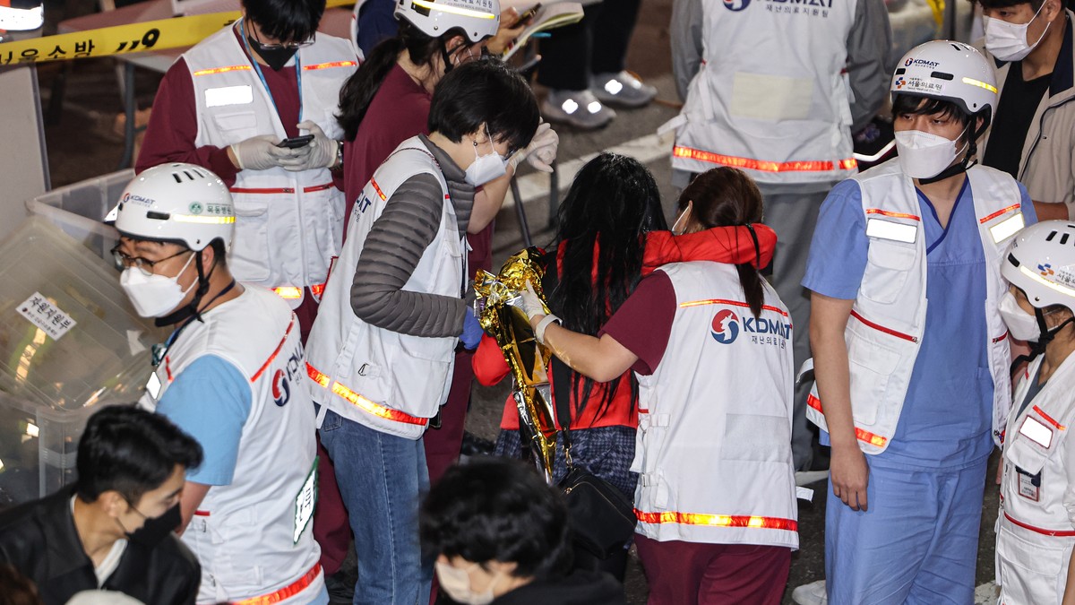 One year after mass panic that left 160 dead in Seoul: families of victims demand explanation More than 500 marine mammals die of bird flu in Brazil