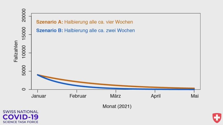 Ohne die Varianten, das heisst mit einer Halbierung alle vier oder alle zwei Wochen, flacht die Kurve bis Mai tief ab.