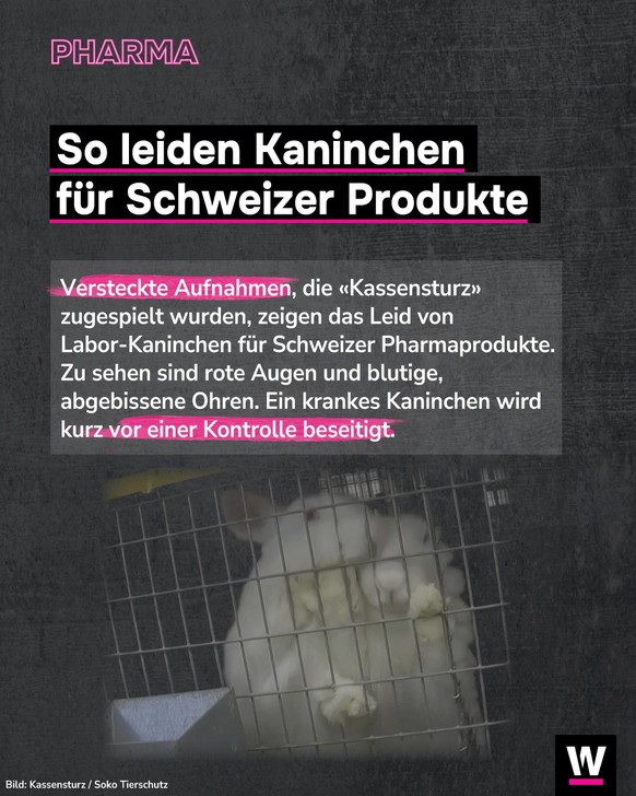 &lt;p&gt;Versteckte Aufnahmen zeigen das Leid von Labor-Kaninchen.&lt;/p&gt;