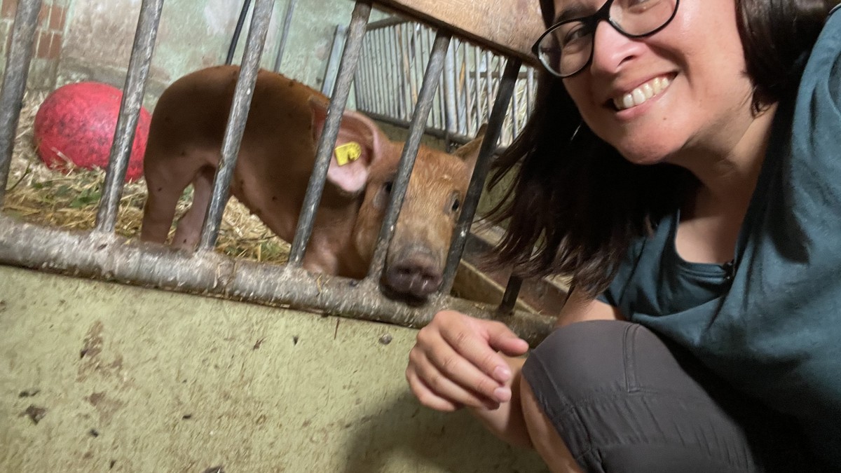 Good-News-Wir-haben-ein-Zuhause-f-r-Helga-gefunden-