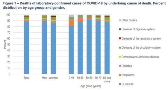 Die Todesursachen bei Menschen aller Altersgruppen, die an Coronavirus erkrankten. In den meisten Fällen sind die Patienten direkt an den Virus-Folgen verstorben. Der jeweils blaue Teil in den Säulen ist die Prozentzahl der Covid-Todesopfer an der Gesamtzahl der Todesopfer.