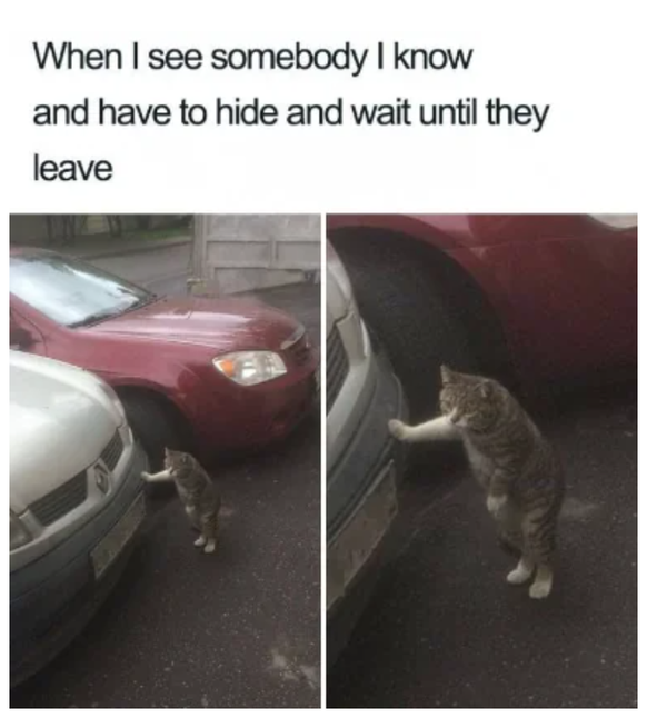Memes für Introvertierte