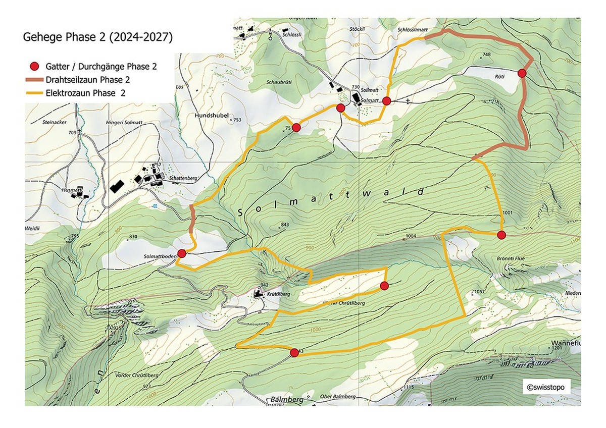 Wisente Zaun Phase 2 Wisentherde Sollmatt Welschenrohr Solothurn Schweiz
