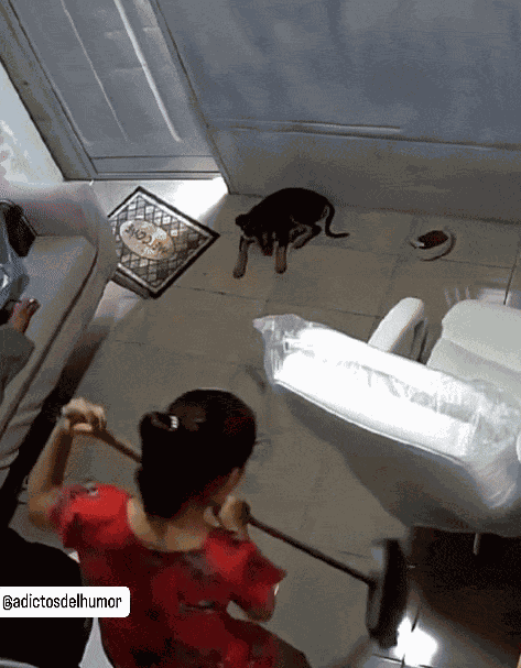 Animiertes GIF