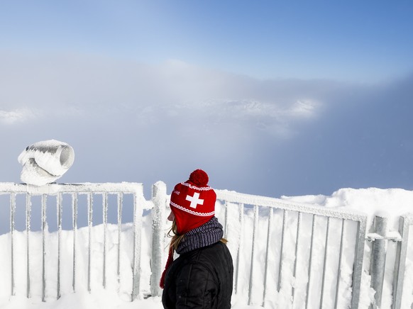 epa06400043 A tourist wearing a red hat with a Swiss cross looks at the landscape from the &#039;Peak Walk&#039; suspension bridge on a winter day at the Glacier 3000 on the Col du Pillon between Gsta ...