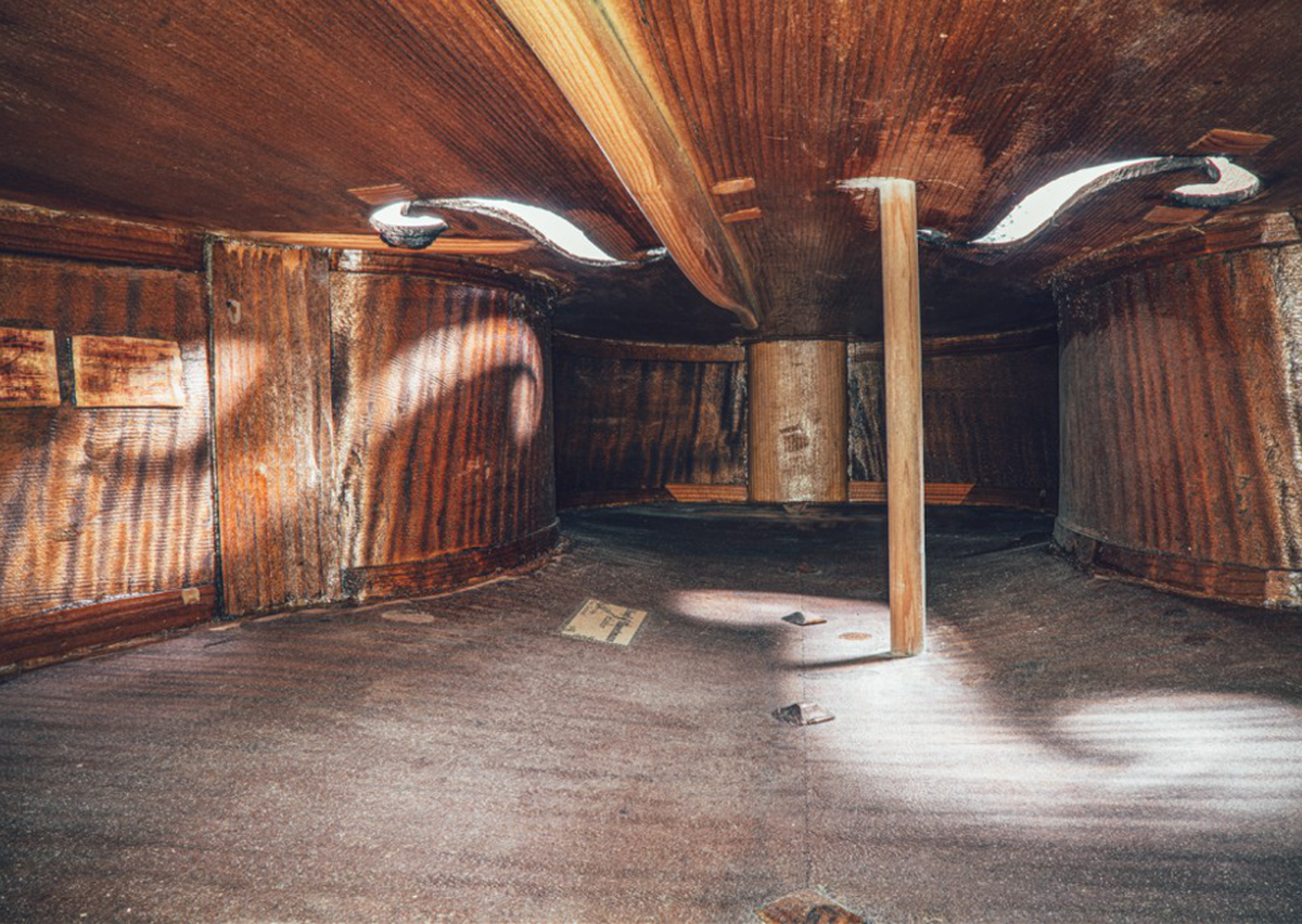 Charles Brooks Fotograf Architecture in Music explores the spaces inside some of the world's finest musical instruments. Photographed using exotic probe lenses and specialist processing technique ...
