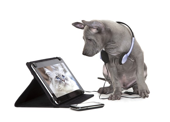 Wie schon Tocotronic sagten: Digital ist besser.