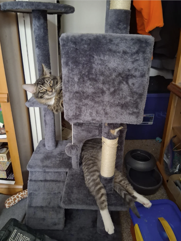 Optische Täuschungen die du zwei Mal anschauen musst, um sie zu verstehen