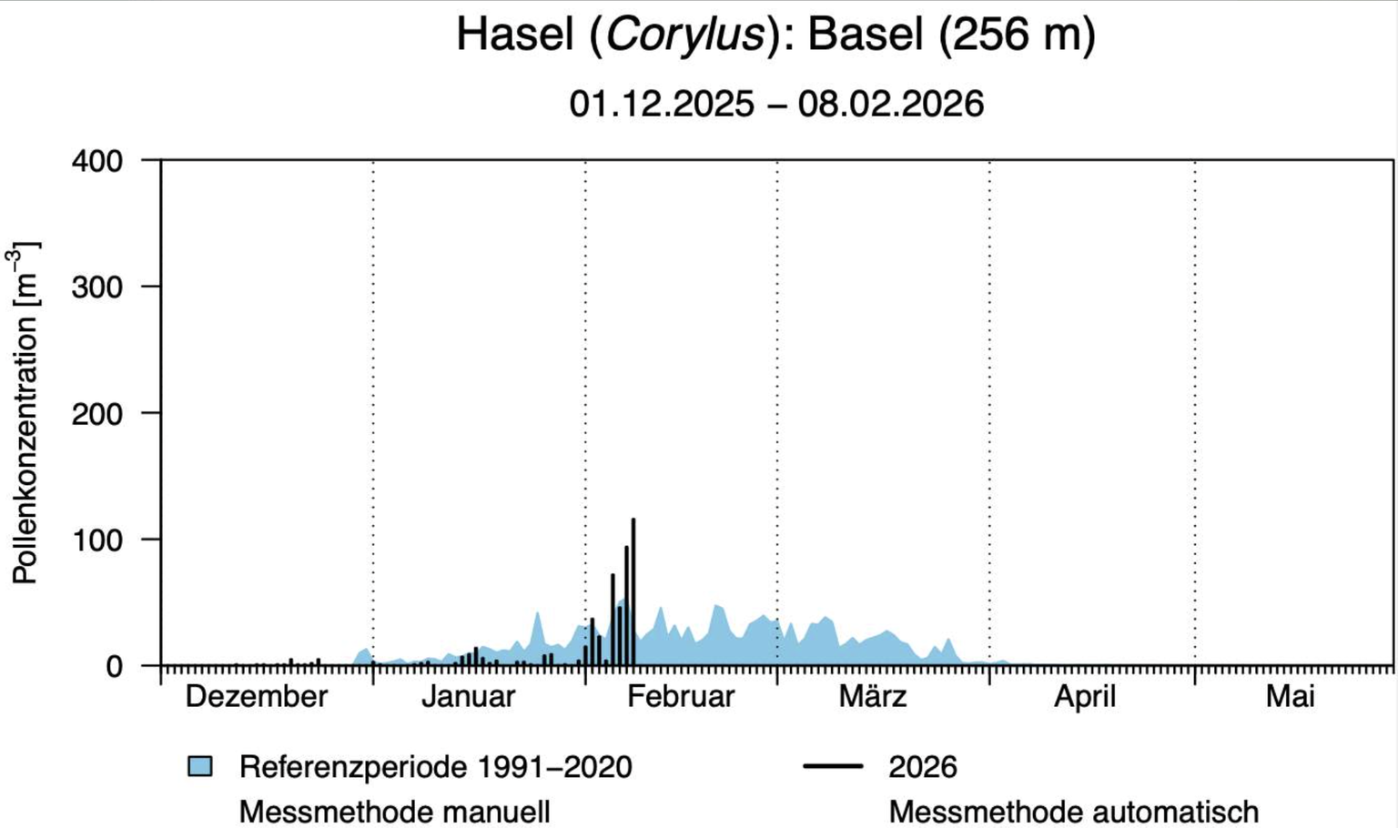 Haselpollenkonzentration seit Anfang Dezember bei der Messstation Basel. Im Januar nur geringe Konzentrationen, im Februar deutlicher Konzentrationsanstieg.