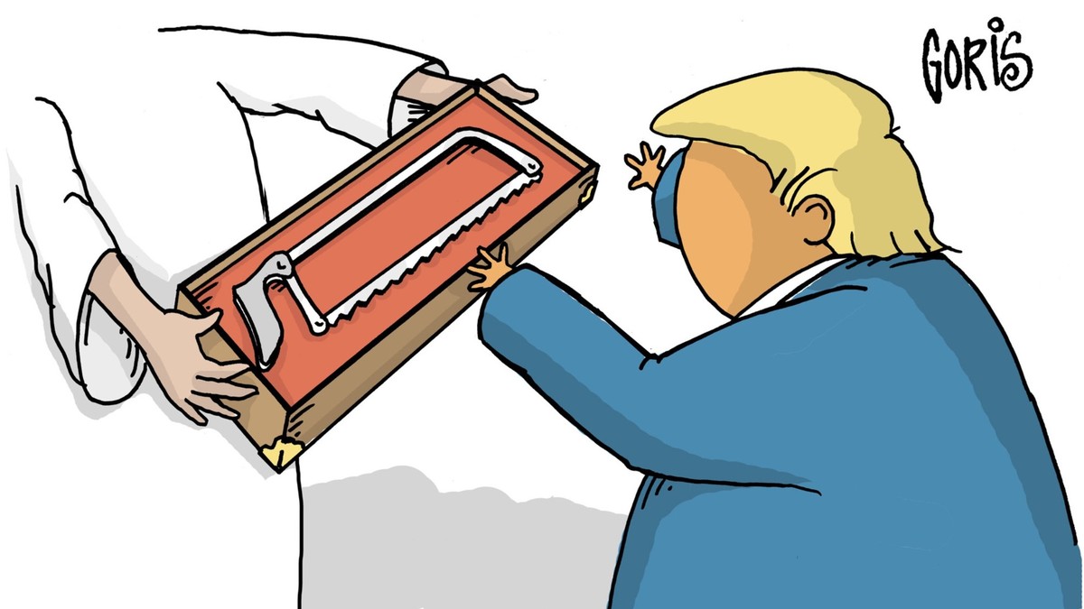Die besten Karikaturen und Memes zu Trump und Putin