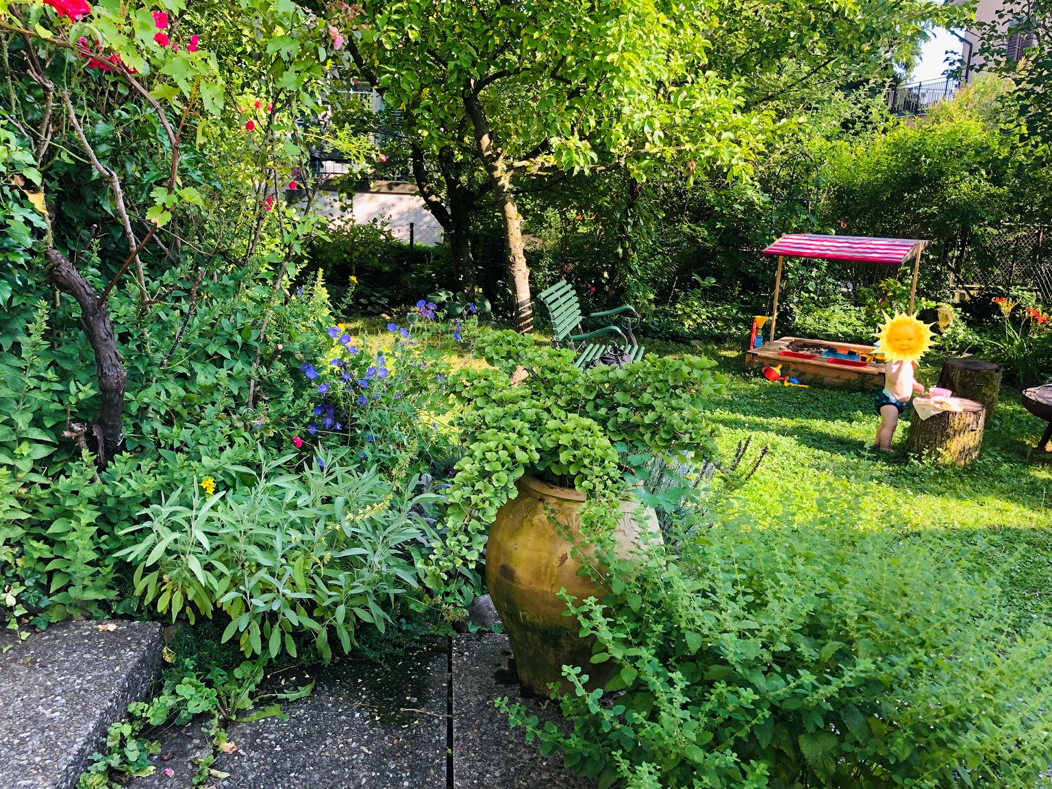 My garden in the summer.