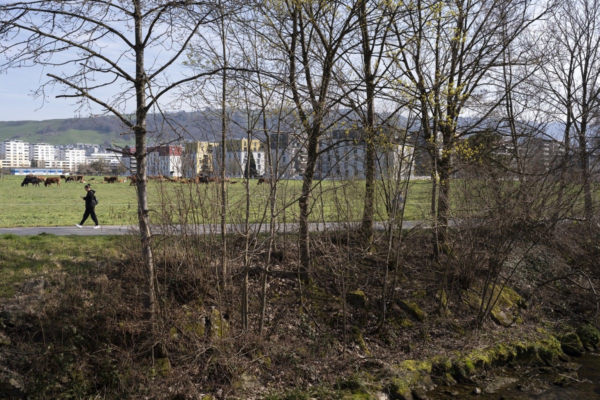 Menschen spazieren entlang der Lorze auf der Lorzenebene, zwischen Cham und der Stadt Zug, fotografiert am Dienstag, 24. Maerz 2026 in Cham. Die Stiftung Landschaftsschutz Schweiz SL zeichnet die Lorz ...