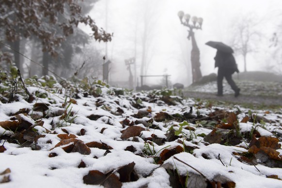 Auf dem Zürcher Hausberg Üetliberg reichte es für eine leichte Schneedecke.