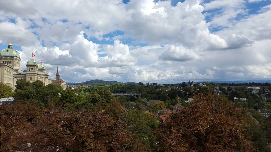 Bern: Vor lauter Bäumen die Stadt nicht sehen.