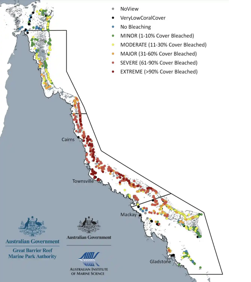 Mehr als 90 Prozent der untersuchten Riffe entlang des Great Barrier Reef waren im Jahr 2022 von der Korallenbleiche betroffen. 