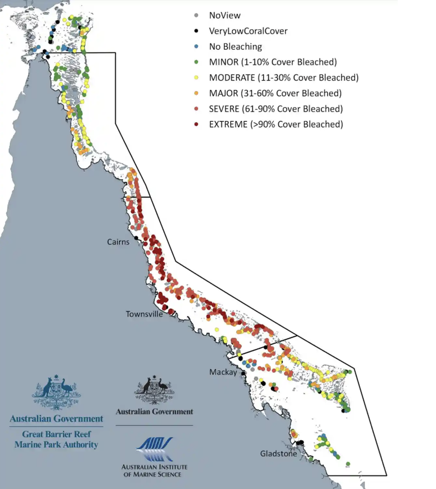 Mehr als 90 Prozent der untersuchten Riffe entlang des Great Barrier Reef waren im Jahr 2022 von der Korallenbleiche betroffen.