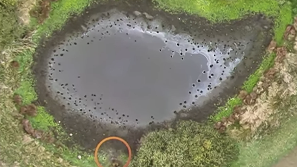 An dieser Stelle an einem Tümpel im Landkreis Güstrow lag die Leiche von Fabian.