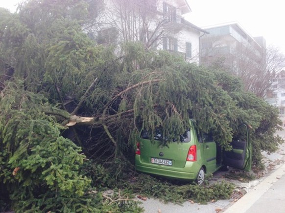 Sturm Niklas, Thalwil, Alte Landstrasse