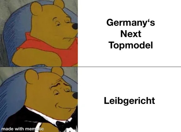 GNTM Meme im Picdump