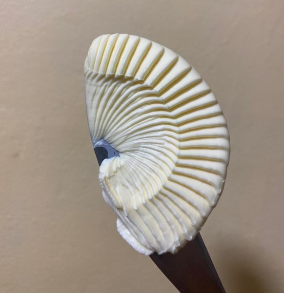 Accidentally created art