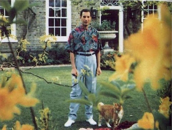 freddie mercury queen katzen https://dangerousminds.net/comments/freddie_mercury_really_loved_his_cats?utm_source=Dangerous+Minds+newsletter&amp;utm_campaign=d7ad83c3d1-RSS_EMAIL_CAMPAIGN&amp;utm_medi ...