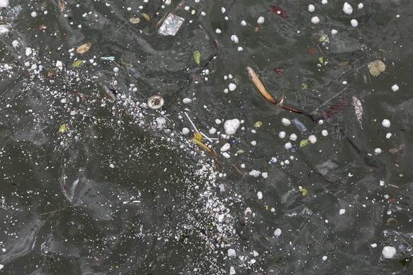 epa06134948 Clumps of palm oil float in the water off St. Stephen&#039;s Beach in Stanley, Hong Kong, China, 10 August 2017. The World Wildlife Fund (WWF) - Hong Kong has called for more detailed moni ...