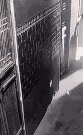 Animiertes GIF