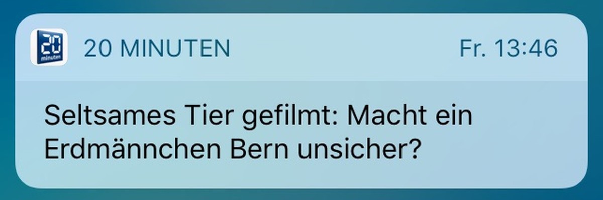 Erdmännchenpush von 20 Minuten