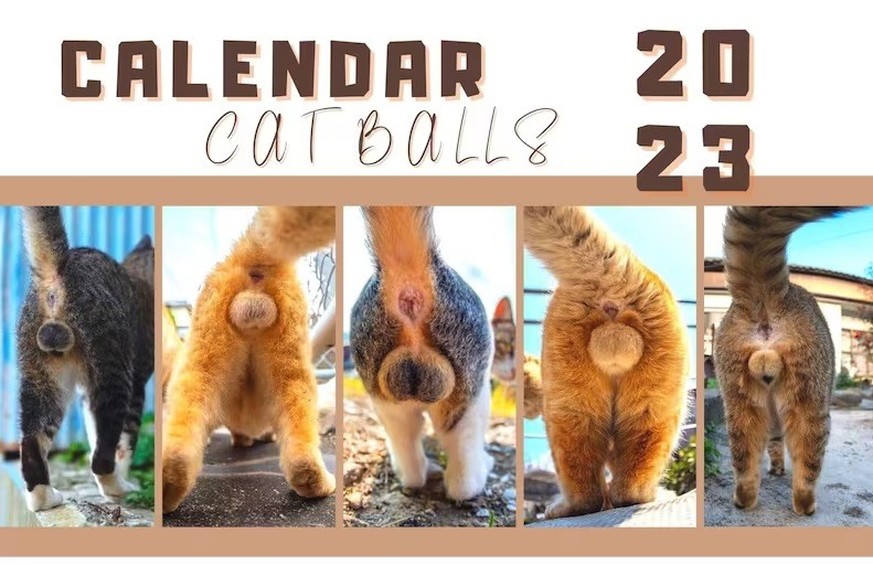 2023 Cat Balls Calendar katzen tiere https://www.etsy.com/ch/listing/1120383429/lustiges-geschenk-katzen-gesass-kalender