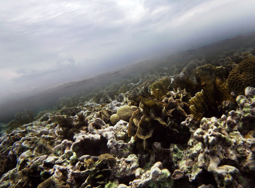 FILE - This March 2009 file photo, shows coral underwater where a thin line of clear Caribbean ocean separates it from the clouds near the second largest barrier reef that runs along the coast of Beli ...