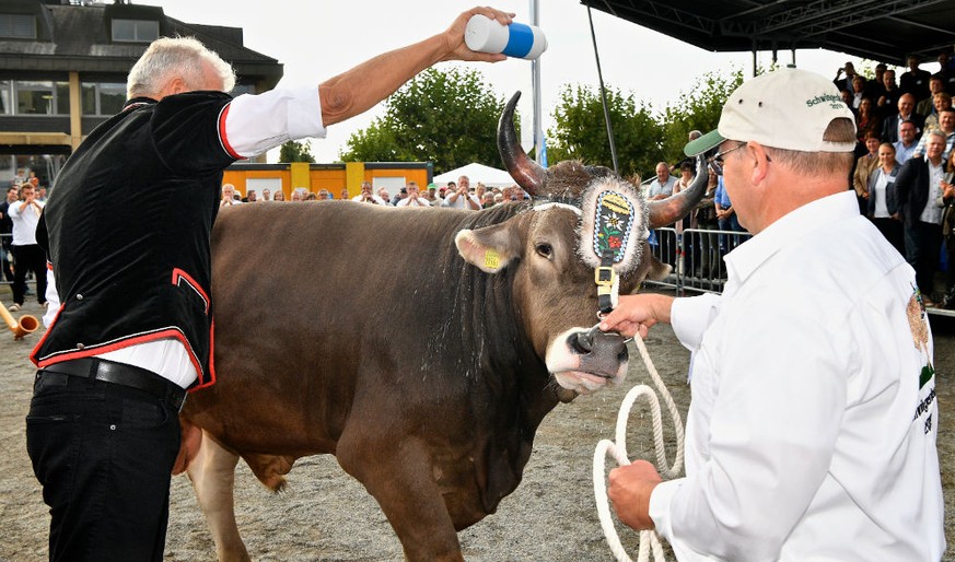 Siegermuni Kolin wird getauft